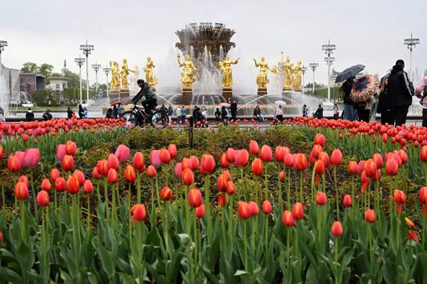 Россиянам рассказали о влиянии майских праздников на оклады