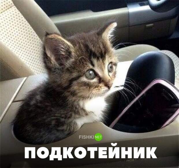 Свежая подборка автоприколов авто, автоприколы, приколы