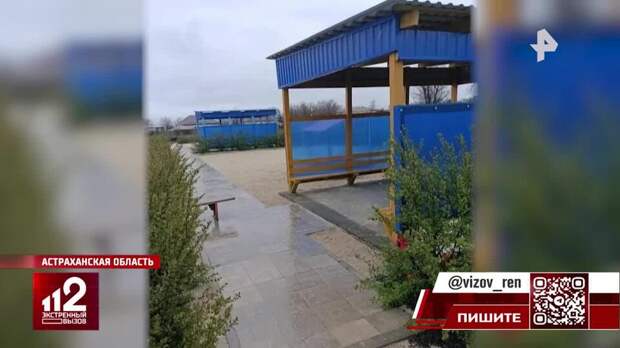 Стая бродячих собак едва не загрызла трехлетнюю девочку в Астраханской области