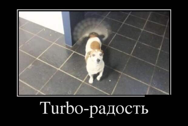 Демотиваторы (30 фото)
