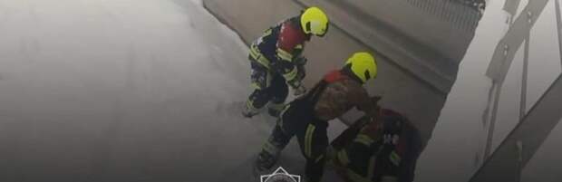 Собаку спасли на озере Сайран в Алматы