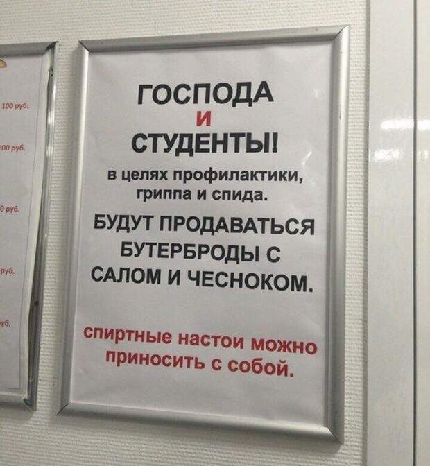 Прикольные картинки