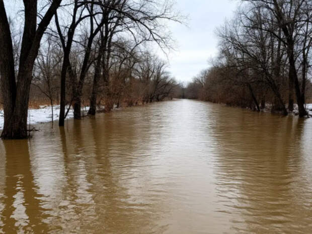 Готовность к паводку в Новосибирской области: замечания и меры поддержки