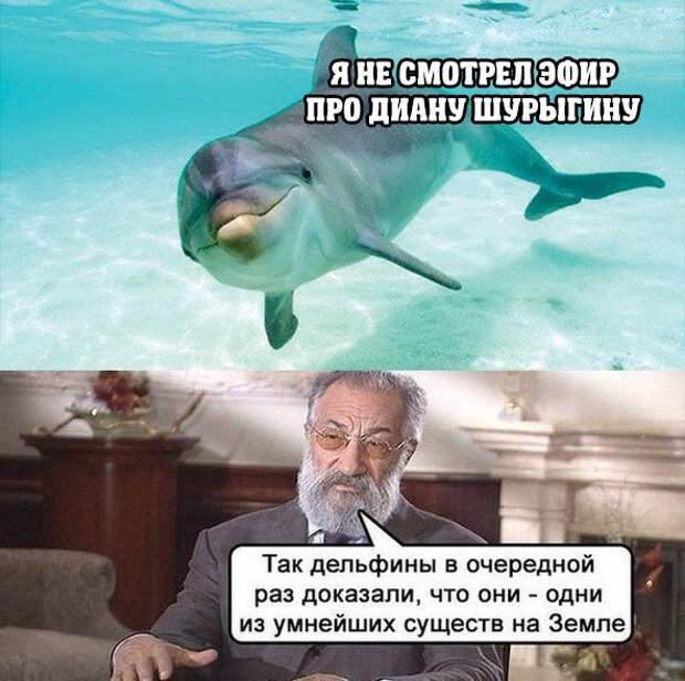 Прикольные картинки с надписями для настроения (10 фото) Прикольные картинки с надписями для настроения (10 фото)