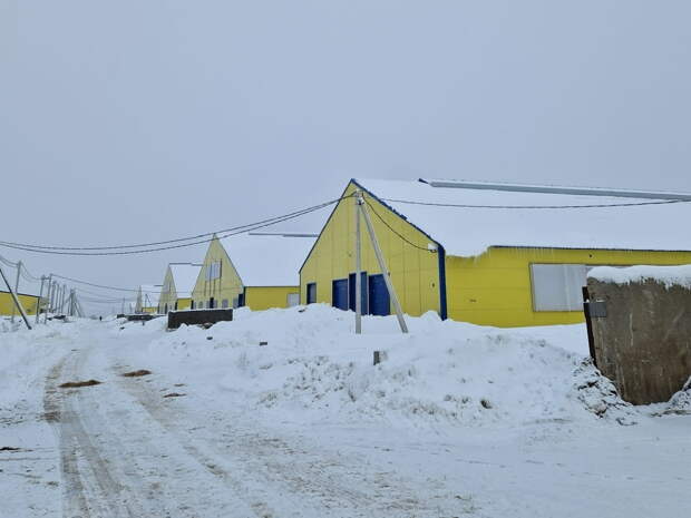 В Рязанской области под контролем Госстройнадзора возводят фермы КРС и промышленный корпус