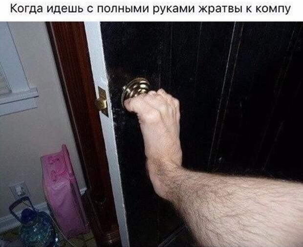 Смешные и ржачные картинки с надписями со смыслом (11 фото)