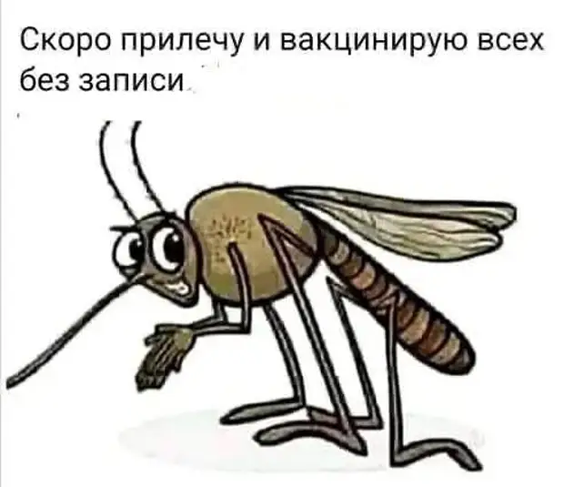 Когда у жены на лице полтонны косметики - это ничего, а когда у мужа на лице немного помады - это конец света! корабль, после, сидит, нравится, развитие, арифметикой, чтото, такРаннее, самое, поражает, сексу, сердце, Недавно, услышала, группу, фитнеса, Может, Слушай, малышей, призналась