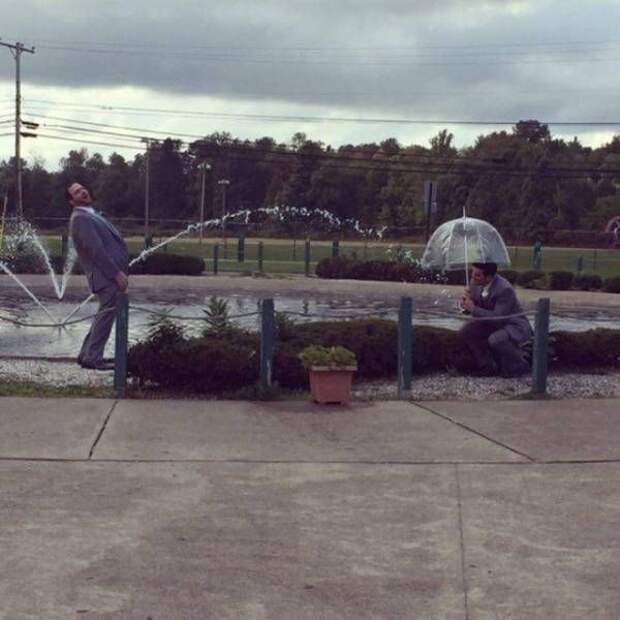 Прикольные картинки