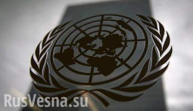 Бездействие ООН поставило под угрозу весь мир — мнение | Русская весна