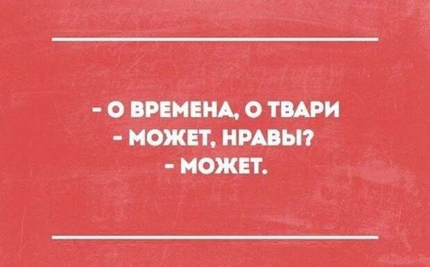 Картинки с надписями  мем, прикол, юмор