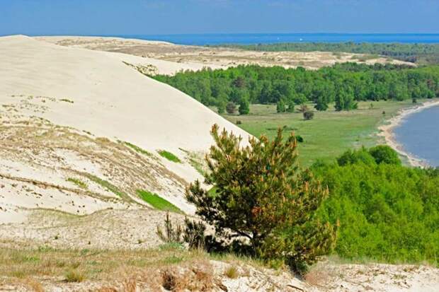 Национальный парк «Куршская коса» (Калининградская область) балтийское море, куршская коса, россия