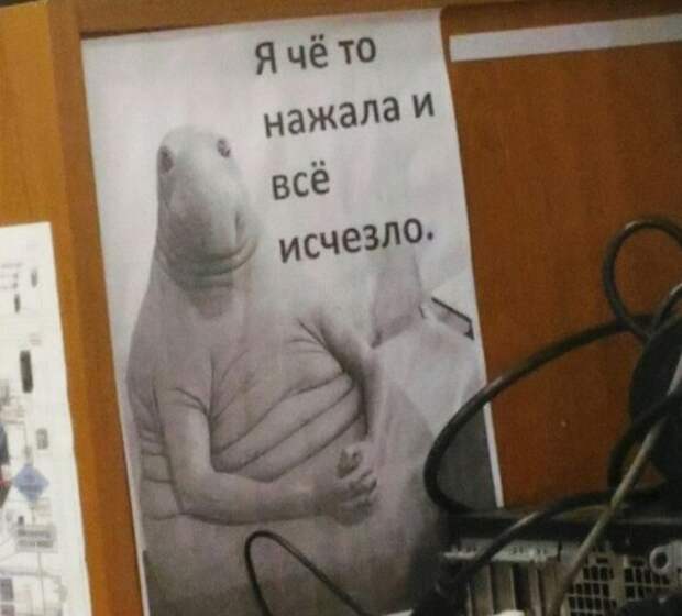 aytishnikov-yumor-kartinki-smeshnye-kartinki-fotoprikoly