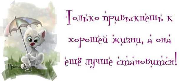 Смешные картинки дня. Правда жизни...