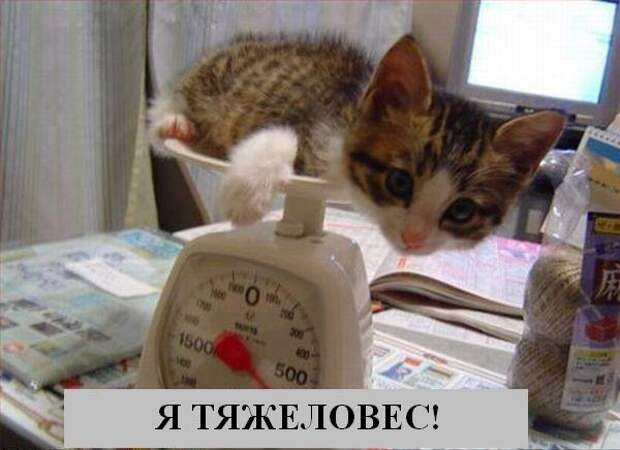 Мысли :) (50мыслей)
