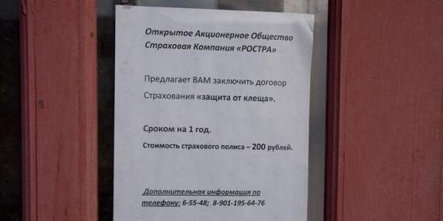 Смешные объявления