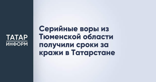 Серийные воры из Тюменской области получили сроки за кражи в Татарстане