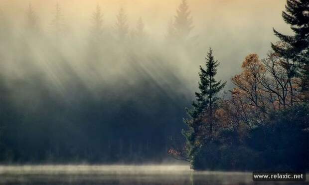 nature_001
