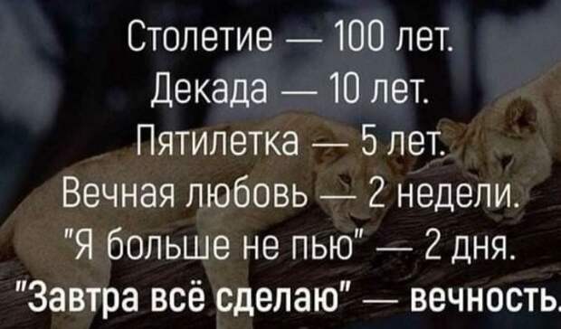 Картинки с надписями, истории и анекдоты