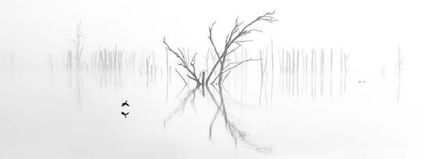 epson_02.jpg