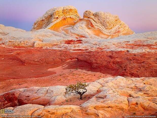 Фотовыставка Как прекрасен этот мир фото окружающий мир Интернет урок