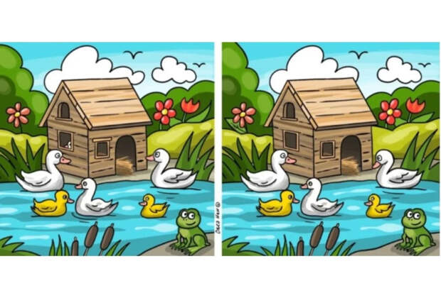 Уютный пруд, 11 отличий и 40 секунд: проверьте свою внимательность