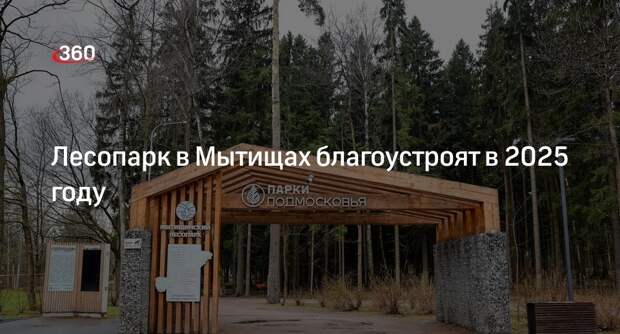 Лесопарк в Мытищах благоустроят в 2025 году