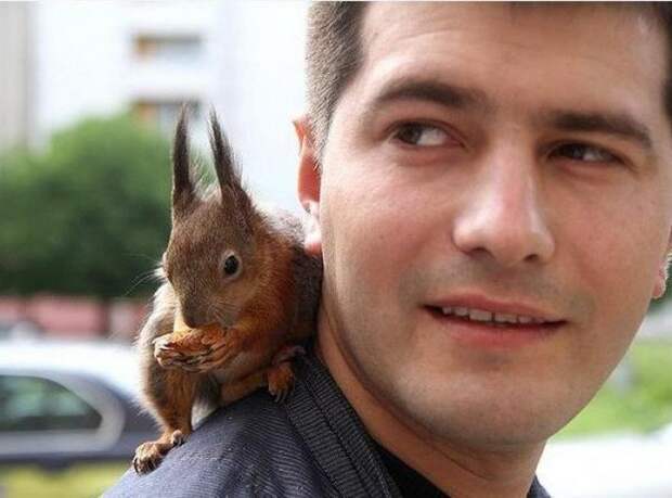 белка