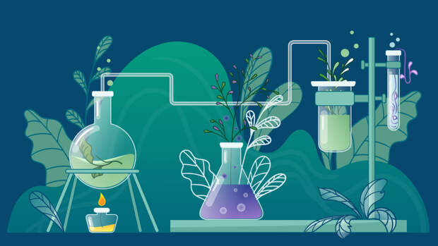 Спасет ли мир «зеленая химия»?