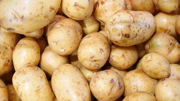 В США официально зарегистрировали картофелину в качестве глушителя для оружия