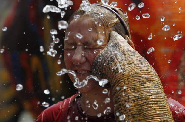 Праздник Songkran в Таиланде.