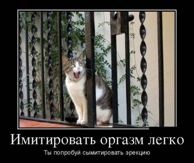 Демотиваторы - 993 Демотиваторы - 993
