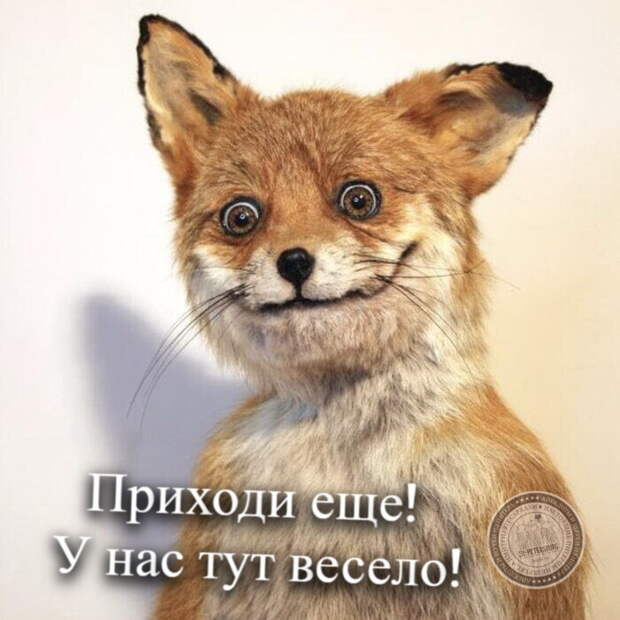 У нас весело!