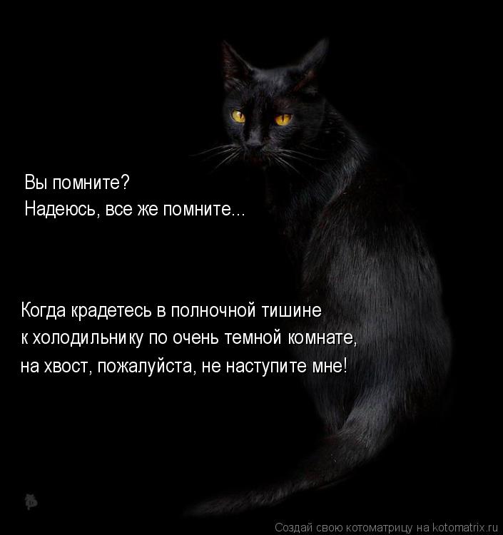 Котоматрица: Вы помните?  Надеюсь, все же помните... Когда крадетесь в полночной тишине к холодильнику по очень темной комнате, на хвост, пожалуйста, не на