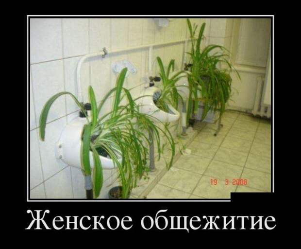 Веселые и забавные демотиваторы со смыслом (11 фото) Веселые и забавные демотиваторы со смыслом (11 фото)