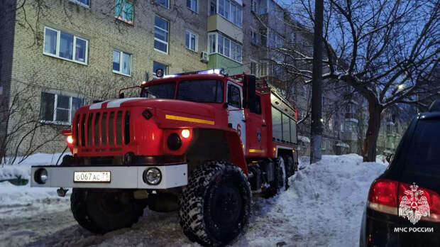 Тульские спасатели потушили четыре пожара 27 февраля