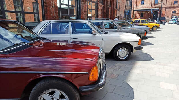 Выставка Калининградского клуба Mercedes-Benz w123