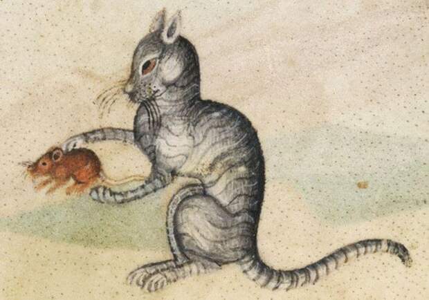 Кошки в работах художников средневековья (22 фото)