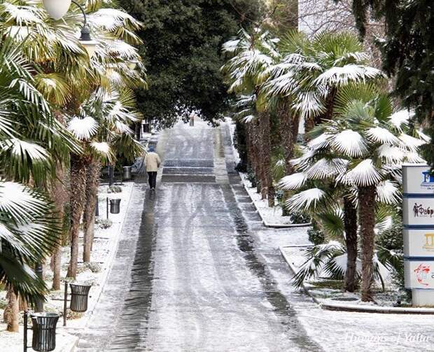 Ялта вошла в топ популярных мест для путешествий в январе
