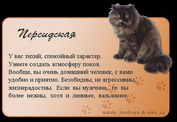 Породы кошек в картинках
