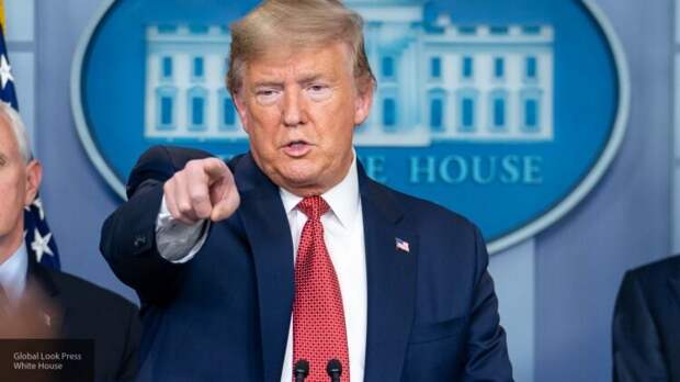 Трамп заявил о вмешательстве демократической партии в выборы президента США