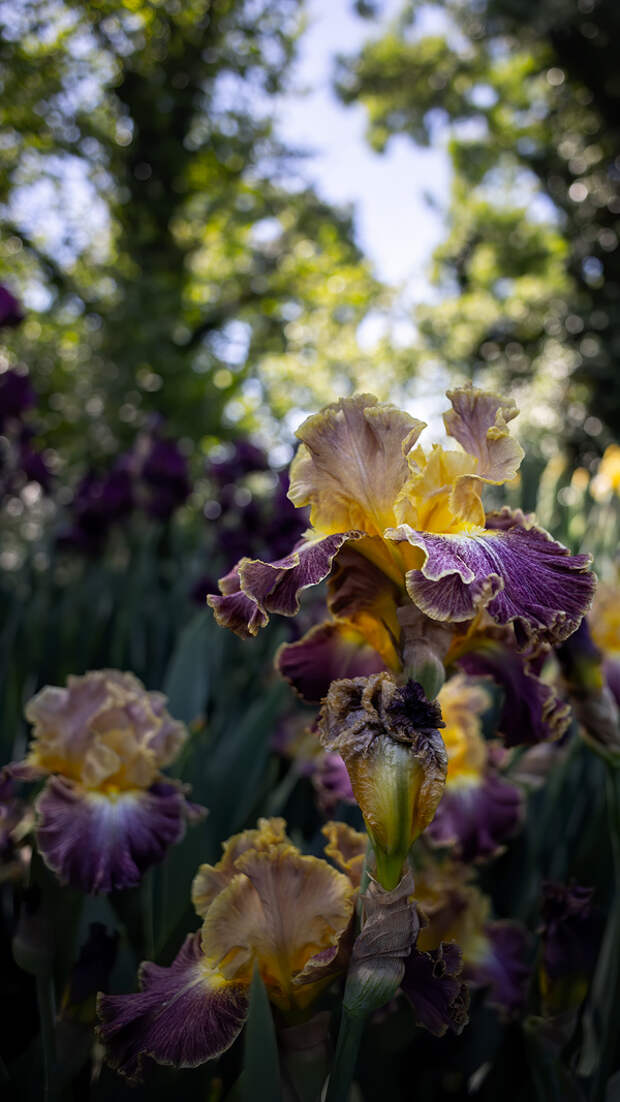 Доброе утро!