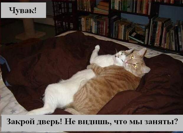 Мысли2 :) (50мыслей)