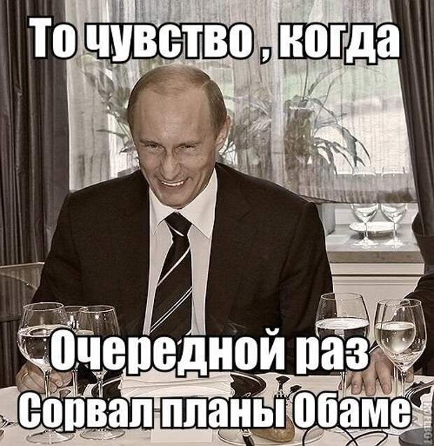 Путин мемы картинки