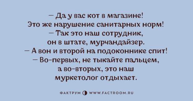 Превосходные анекдоты, достойные вашей самой широкой улыбки