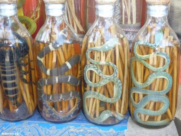 snake-wine