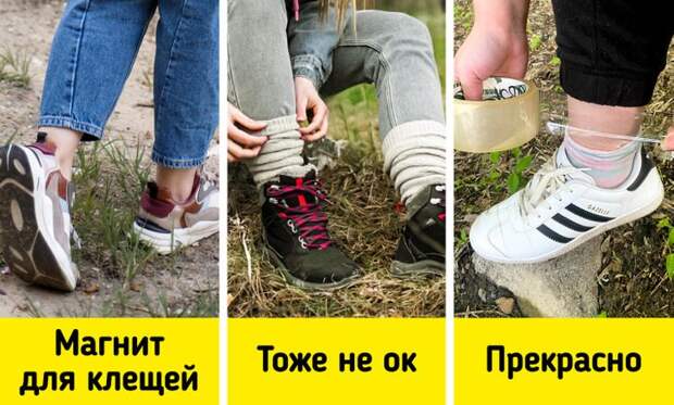 Советы, которые поднимут отдых на природе на новый уровень