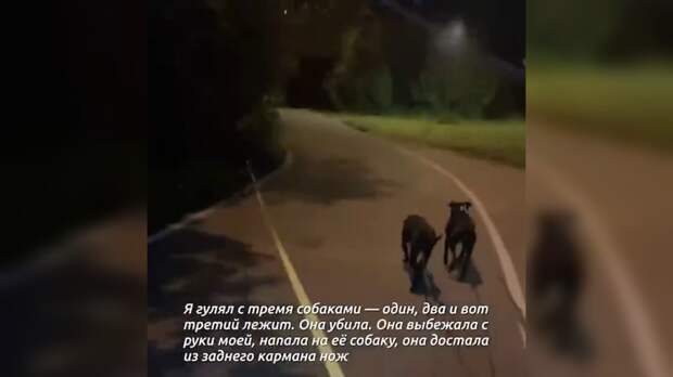 Автор: В. Панченко