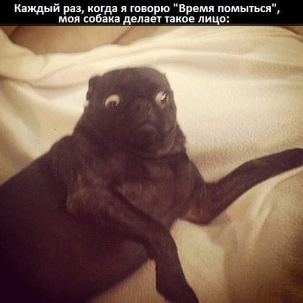 Прикольные картинки Прикольные картинки