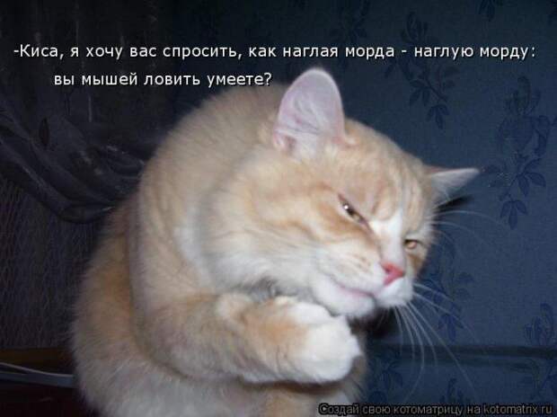 Мысли вслух :)