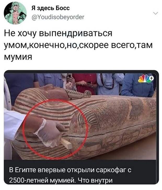 Прикольные и смешные картинки